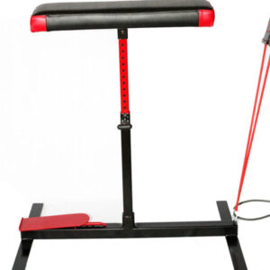 FHM Wellness Transformation Bundle – Course + Wellness System