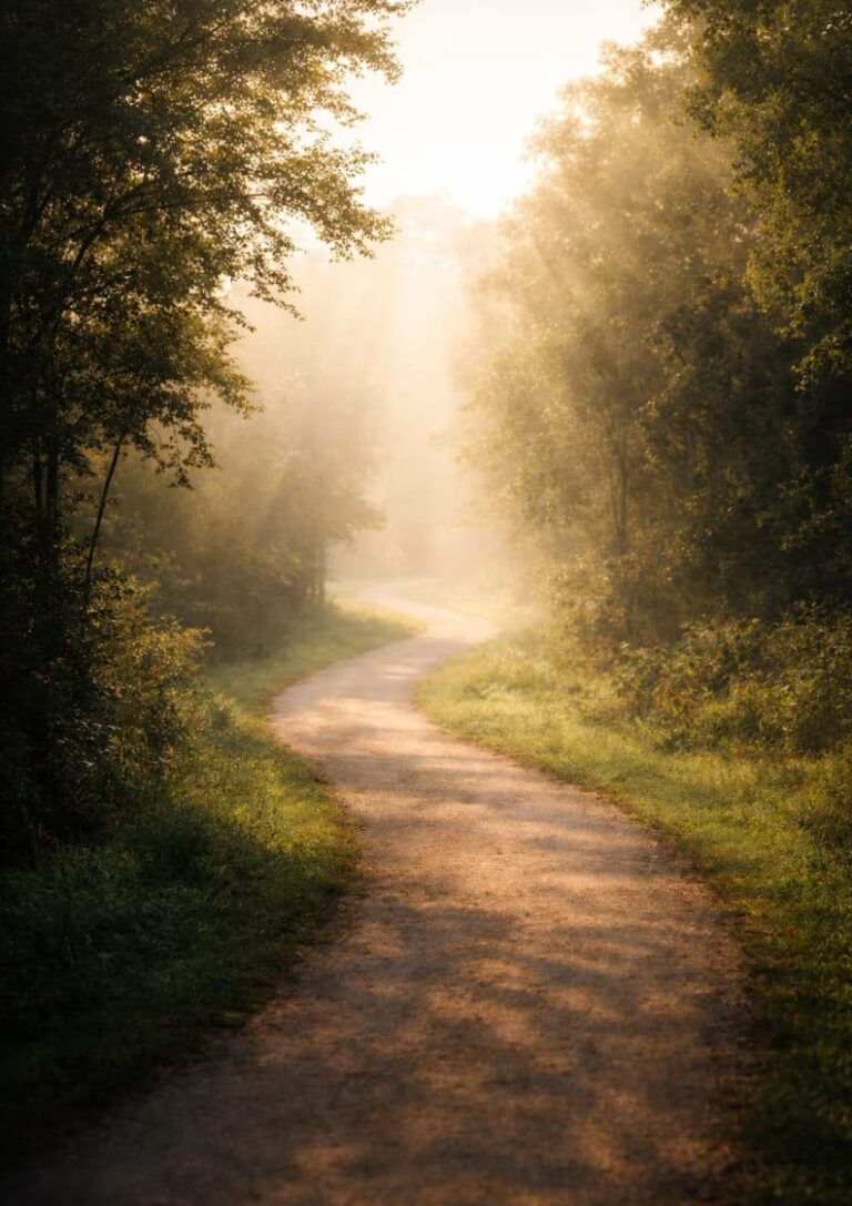 A calm, realistic approach to movement after weight loss surgery